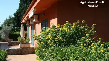 RURALIA AGRITURISMO - APARTMENTS