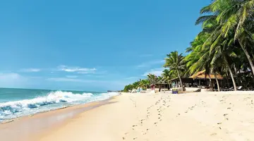 Ryż na polu, raj na plaży
