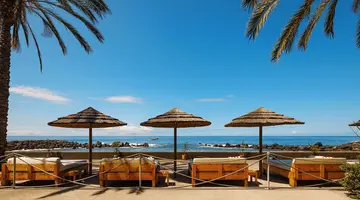 Saccharum Resort & Spa