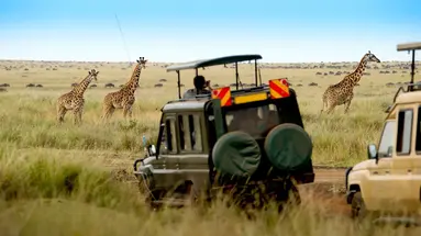 Safari Express + Hotel Neptun Beach
