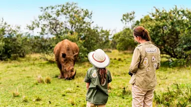 Safari Express + Hotel Neptun Beach