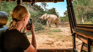 Safari Express + Hotel Prideinn Flamingo Beach Resort & Spa
