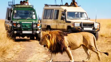 Safari Express + Hotel Prideinn Flamingo Beach Resort & Spa