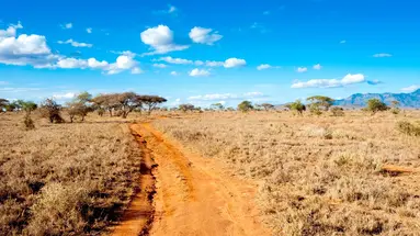Safari Express +Travellers Beach Hotel & Club All Inclusive