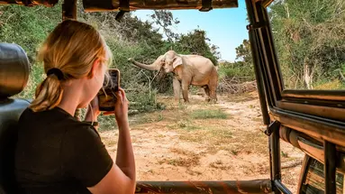 Safari Express