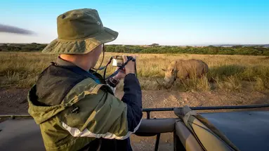 Safari Express
