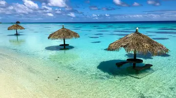 Safari i Ocean - RPA i Mozambik