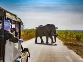 Safari i Zanzibar