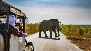 Safari i Zanzibar