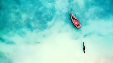 Safari i Zanzibar
