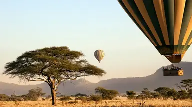 Safari i Zanzibar