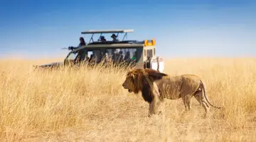 Safari i Zanzibar