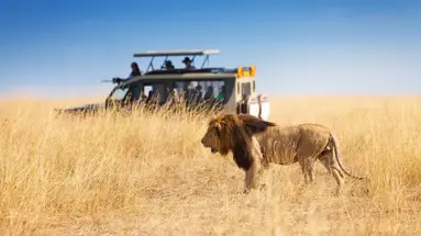 Safari i Zanzibar