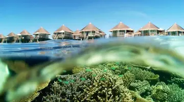 Safari Island Resort & SPA