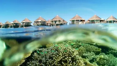 Safari Island Resort & SPA