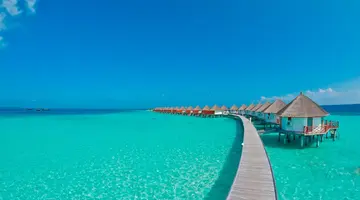 Safari Island Resort
