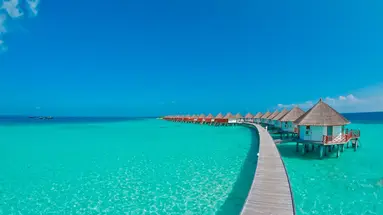 Safari Island Resort