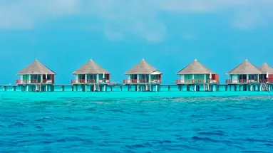 Safari Island Resort