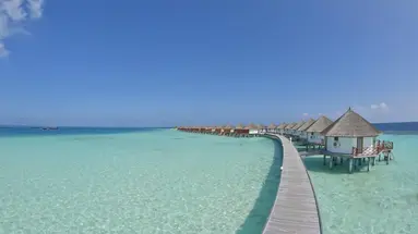 Safari Island Resort