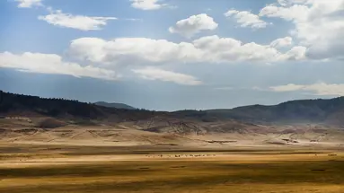 Safari Południowa Tanzania