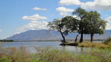 Safari Południowa Tanzania