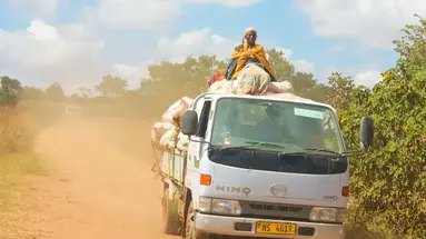 Safari Południowa Tanzania