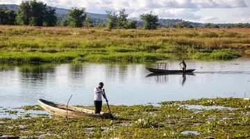 Safari Południowa Tanzania