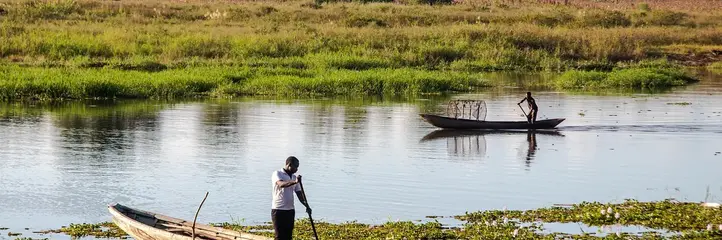 Safari Południowa Tanzania