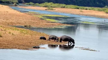 Safari z Wielka Piatka