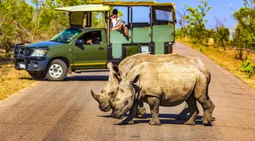 Safari z Wielka Piatka
