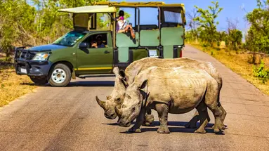 Safari z Wielka Piatka