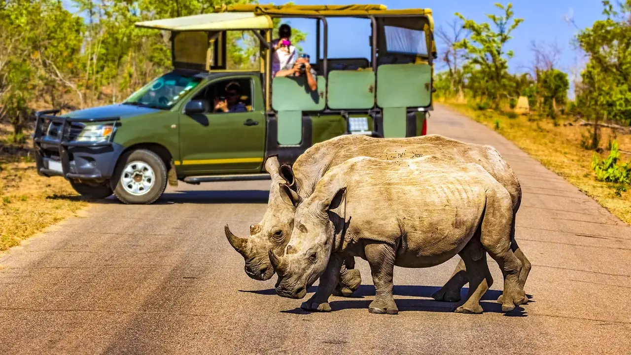 Safari z Wielka Piatka