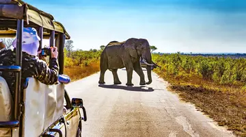 Safari z Wielka Piatka