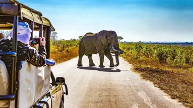 Safari z Wielka Piatka