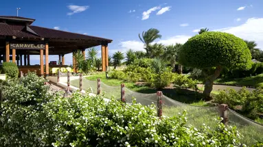 SAHARA BEACH