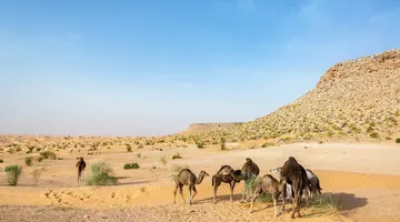 Saharyjski Off-road