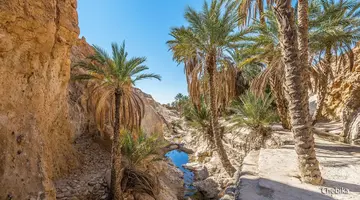 Saharyjski Off-road