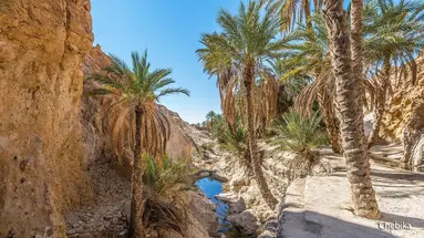 Saharyjski Off-road