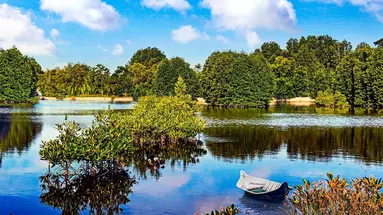 Sajgon i Delta Mekongu