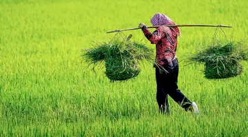 Sajgon i Delta Mekongu