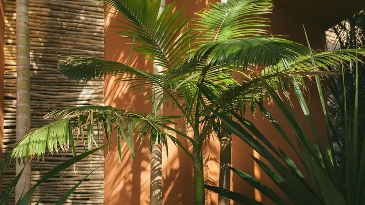 Salobre Hotel Resort &amp Serenity