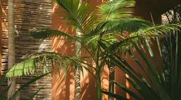 Salobre Hotel Resort & Serenity
