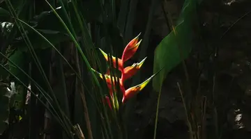 Salobre Hotel Resort & Serenity