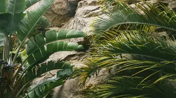 Salobre Hotel Resort & Serenity