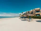 SALT of Palmar