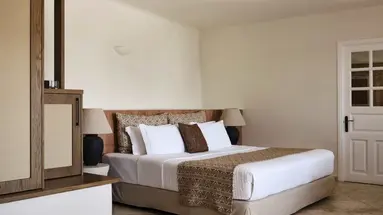 San Antonio Luxury Hotel 4