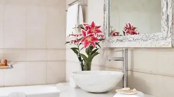 San Antonio Luxury Hotel and Suites