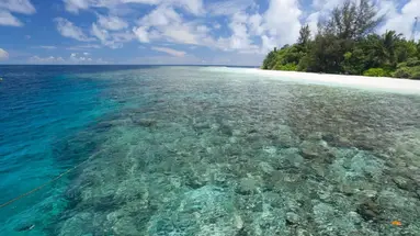 SANDIES BATHALA MALDIVES