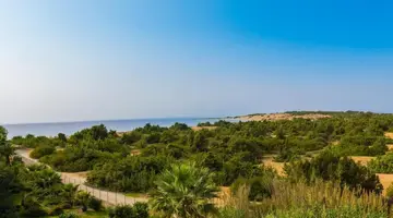 Sandy Beach Resort