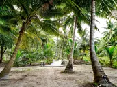 Sandyy Wavess Beach Resort